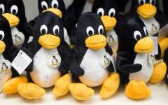 Как и следовало ожидать, основой «национальной ОС» станет ядро Linux