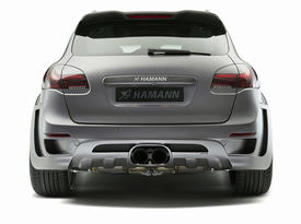 Hamann Guardian