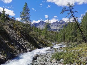 © KM.RU, Алексей Грибков