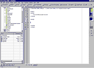 Окно редактора FirstPage 2000
