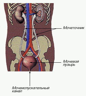 Мочеточник справа