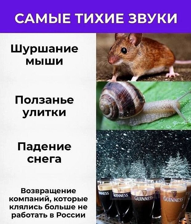 https://www.km.ru/sites/default/files/imagecache/640x640/kart_786.jpg