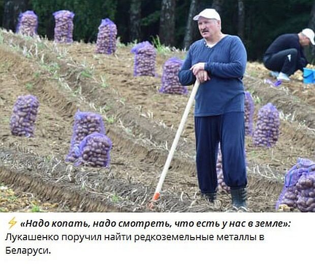 https://www.km.ru/sites/default/files/imagecache/640x640/kart_lukash_0.jpg