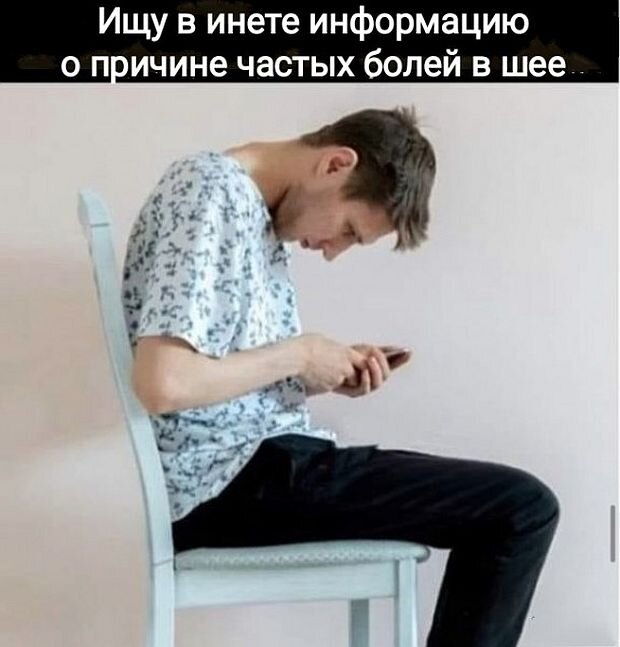 https://www.km.ru/sites/default/files/imagecache/640x640/kart_sheya.jpg
