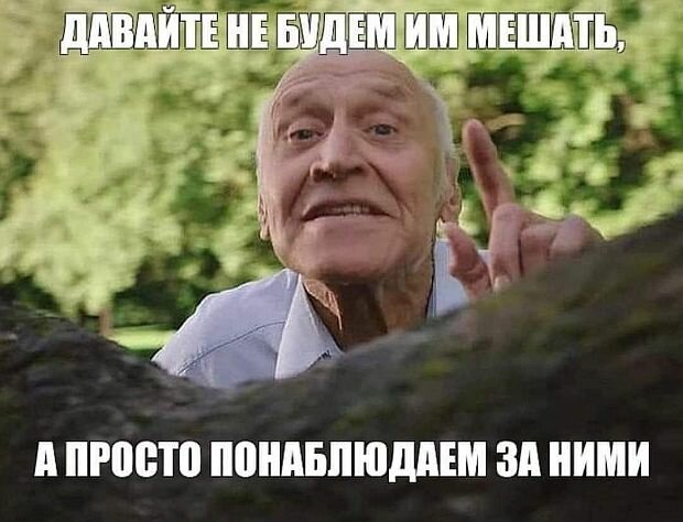 https://www.km.ru/sites/default/files/imagecache/640x640/kartina09_2.jpg