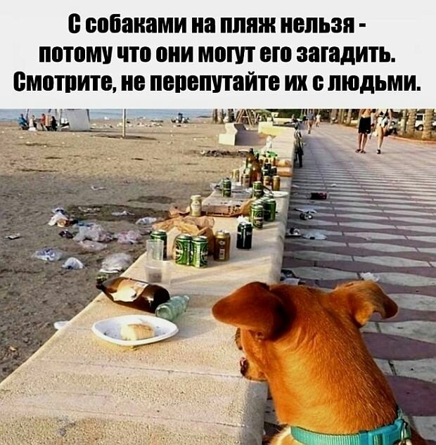 https://www.km.ru/sites/default/files/imagecache/640x640/kartina42.jpg