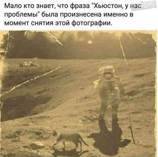 https://www.km.ru/sites/default/files/imagecache/640x640/kartina88_2.jpg
