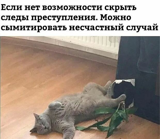 https://www.km.ru/sites/default/files/imagecache/640x640/kartinka22.jpg