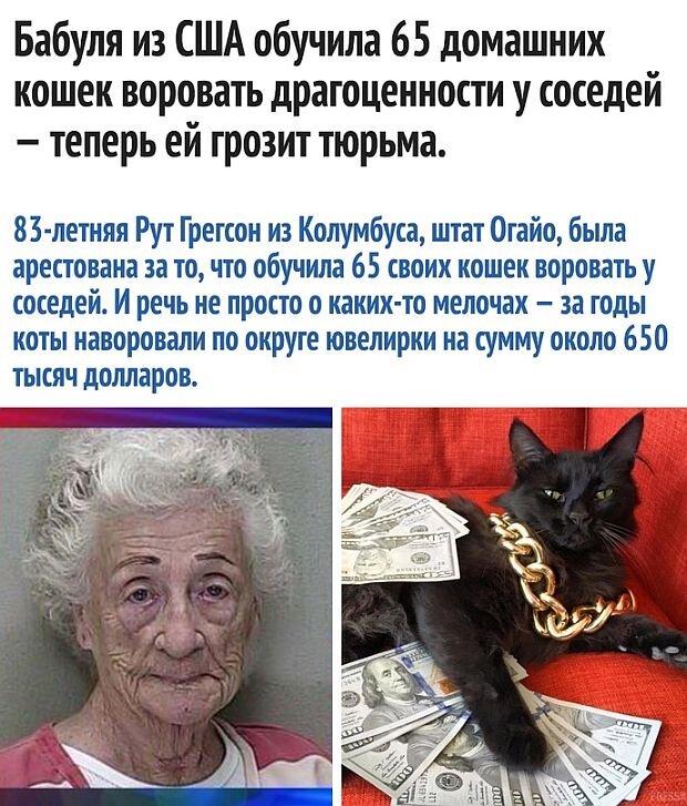 https://www.km.ru/sites/default/files/imagecache/640x640/kartinka7-0.jpg