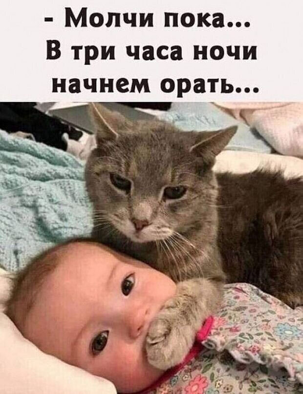 https://www.km.ru/sites/default/files/imagecache/640x640/kid_0.jpg