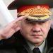 Сергей Шойгу © РИА Новости, Ильдус Гилязутдинов