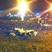 Место катастрофы. Фото с сайта sledcom.ru