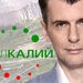 Михаил Прохоров. Коллаж © KM.RU