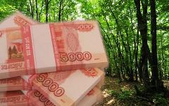 Коллаж © KM.RU