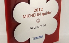 MICHELIN guide. Фото с сайта societyawards.com