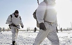 Минобороны взялось за формирование арктических бригад Минобороны взялось за формирование арктических бригад