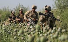 США наводнят Россию и Европу афганским героином