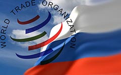 ЦИК отказал народу в праве решить судьбу вступления России в ВТО ЦИК отказал народу в праве решить судьбу вступления России в ВТО