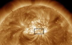 Фото с сайта fian-inform.ru