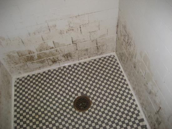 Фото с сайта hotelscheap.org