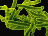 Фото с сайта citydoctor.ru Фото с сайта citydoctor.ru