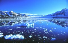 Фото с сайта igreenhero.com