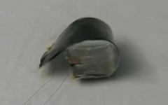 Новый материал изменяет форму после абсорбции водного пара. Фото с сайта mit.edu Новый материал изменяет форму после абсорбции водного пара. Фото с сайта mit.edu