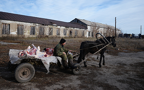 © РИА Новости, Александр Кряжев © РИА Новости, Александр Кряжев
