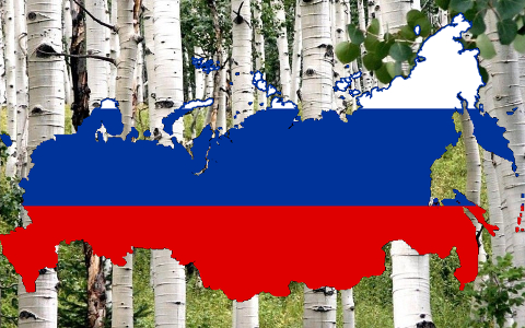 Коллаж © KM.RU Коллаж © KM.RU