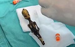 Стоп-кадр видео с YouTube Стоп-кадр видео с YouTube