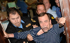 Лев Пономарев © РИА Новости, Максим Блинов Лев Пономарев © РИА Новости, Максим Блинов