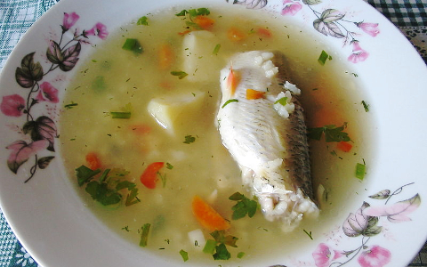 Фото Kagor с сайта wikimedia.org Фото Kagor с сайта wikimedia.org