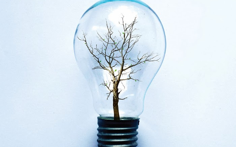 Фрагмент обложки диска. Предоставлено издателем