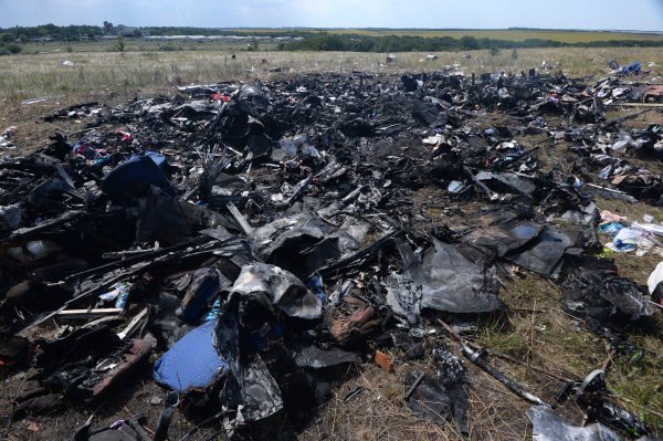 Место крушения малайзийского Boeing 777 © РИА Новости, Михаил Воскресенский