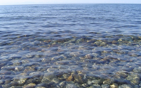 Байкальская вода чрезвычайно прозрачна. Фото Xchgall с сайта wikimedia.org Байкальская вода чрезвычайно прозрачна. Фото Xchgall с сайта wikimedia.org