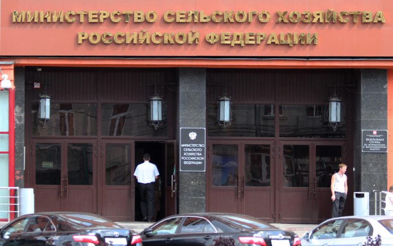© KM.RU, Илья Шабардин © KM.RU, Илья Шабардин