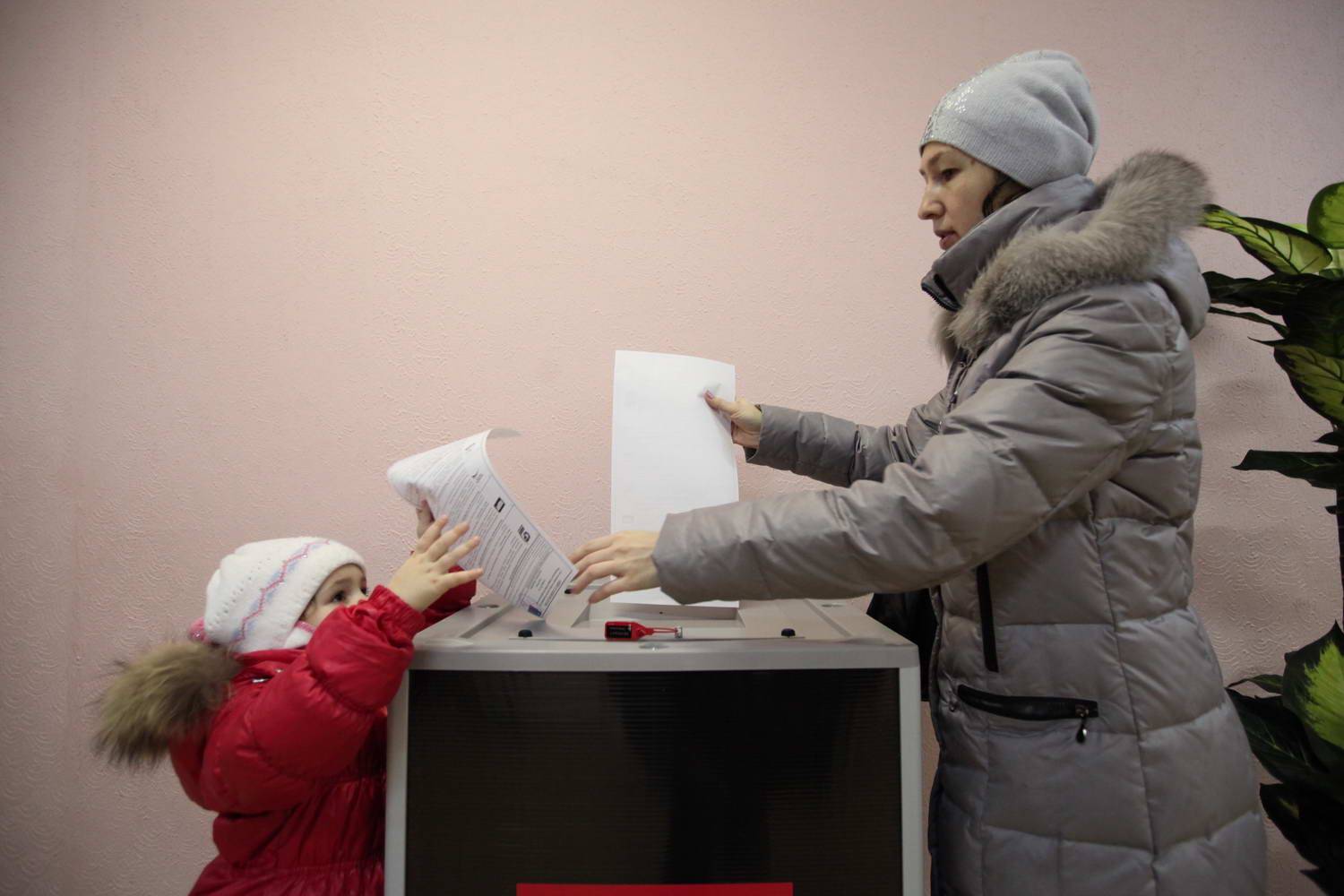 Выборы в Государственную Думу - 2011 © KM.RU, Кирилл Зыков