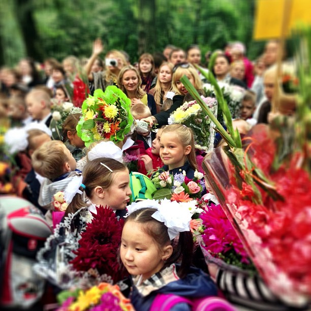© KM.RU, Instagram © teremoka