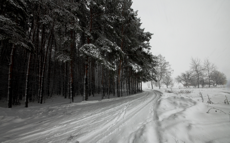 © KM.RU, Алексей Белкин © KM.RU, Алексей Белкин