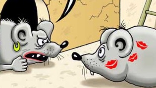 Карикатура с сайта /veselahata.com