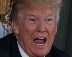 Дональд Трамп. Источник http://www.dw.com/