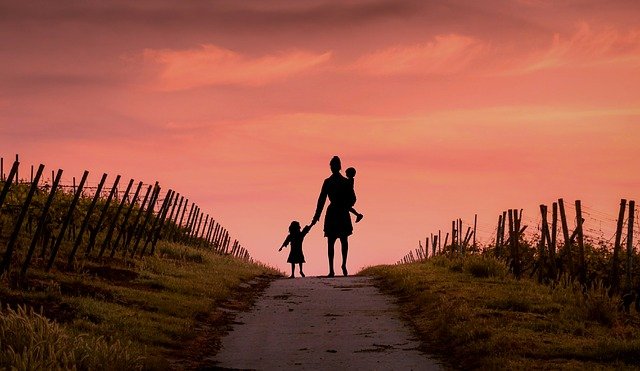 Фото с сайта pixabay.com Алиментный фонд — новая кормушка для чиновников?