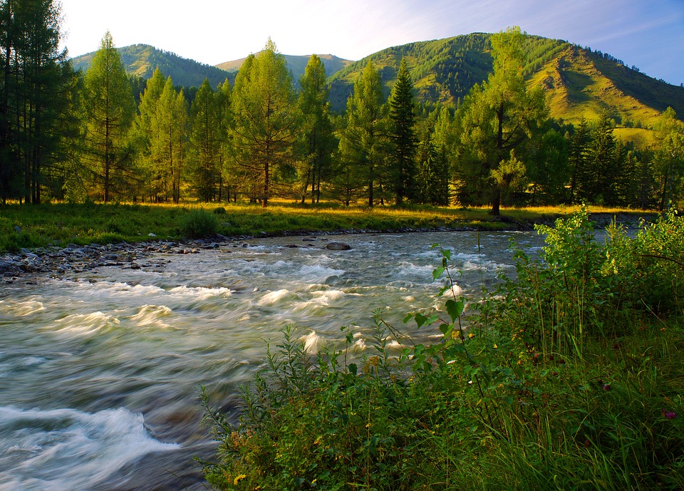 Фото с сайта Pixabay.com