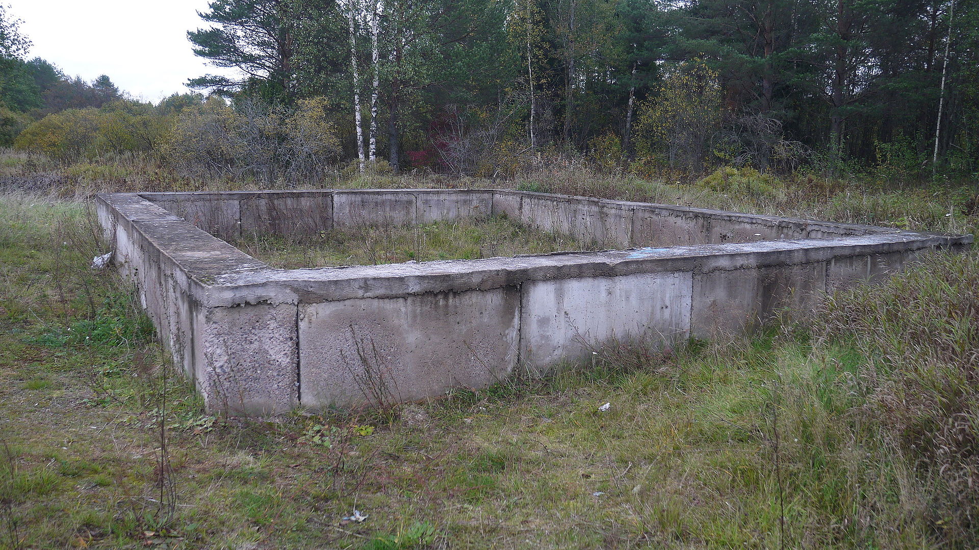 Фото Janelop с сайта ru.wikipedia.org