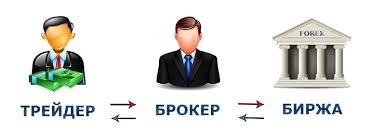 Кто такие брокеры? | KM.RU