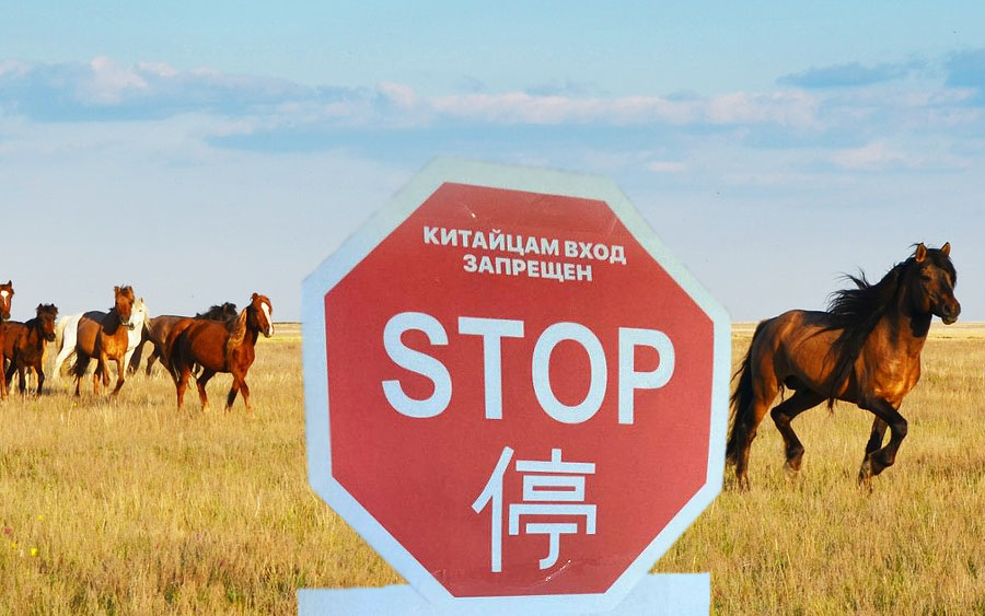Китайцам вход запрещен