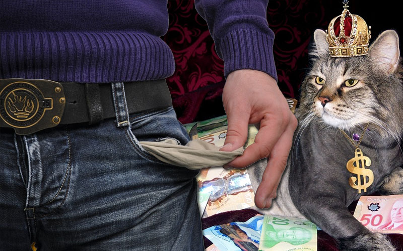 Коллаж © KM.RU