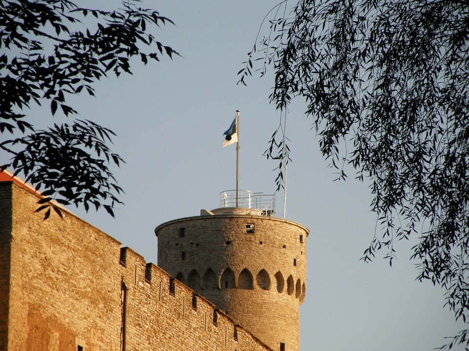 Фото с сайта pixabay.com