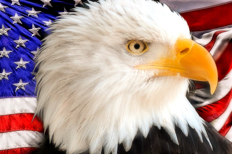 Фото с сайта pixabay.com