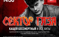 Aфиша. Предоставлена организаторами Творческая семья «Сектора Газа» исполнила давнюю мечту дочери Юрия Хоя